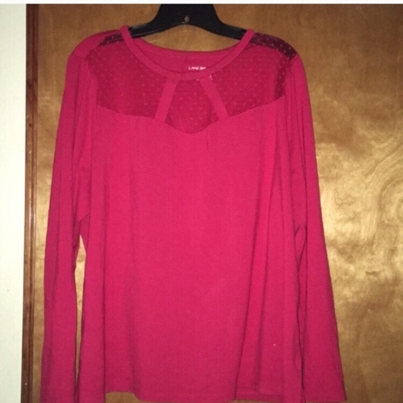 18/20W Venetian Red Point D’esprit Yoke Neck Top - Picture 4 of 10